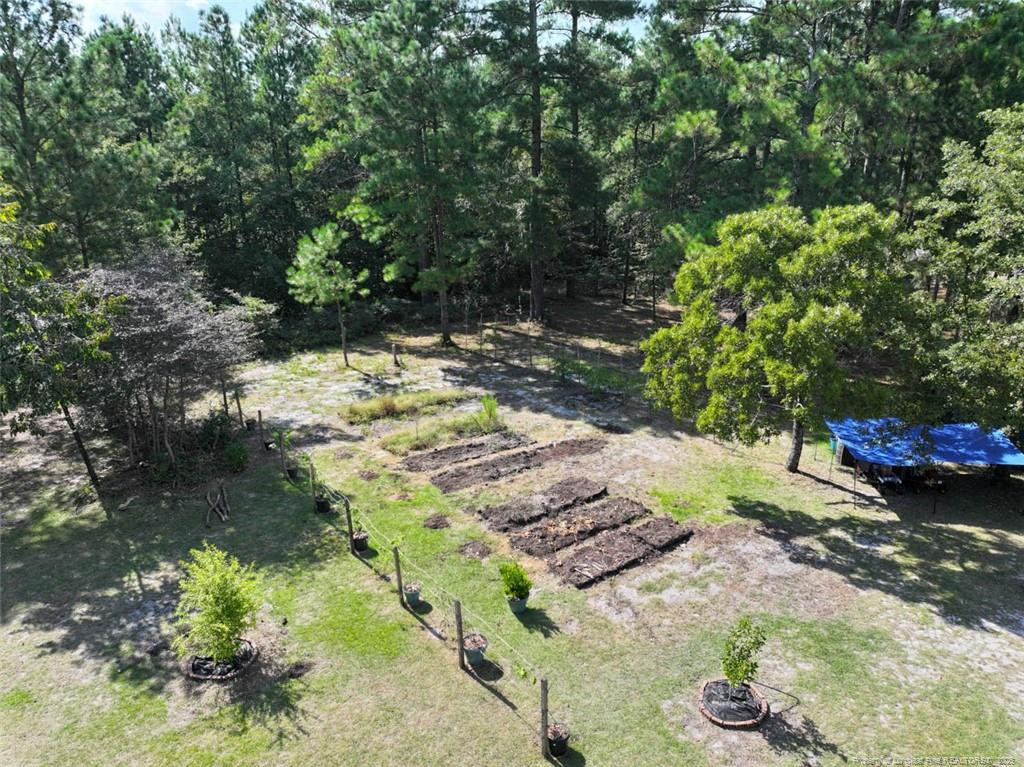 6456 Cedar Creek Road Property Photo 40
