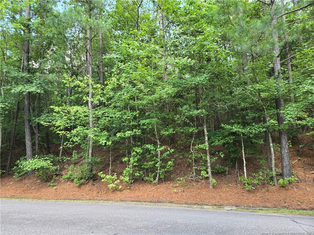 893 Loblolly Drive