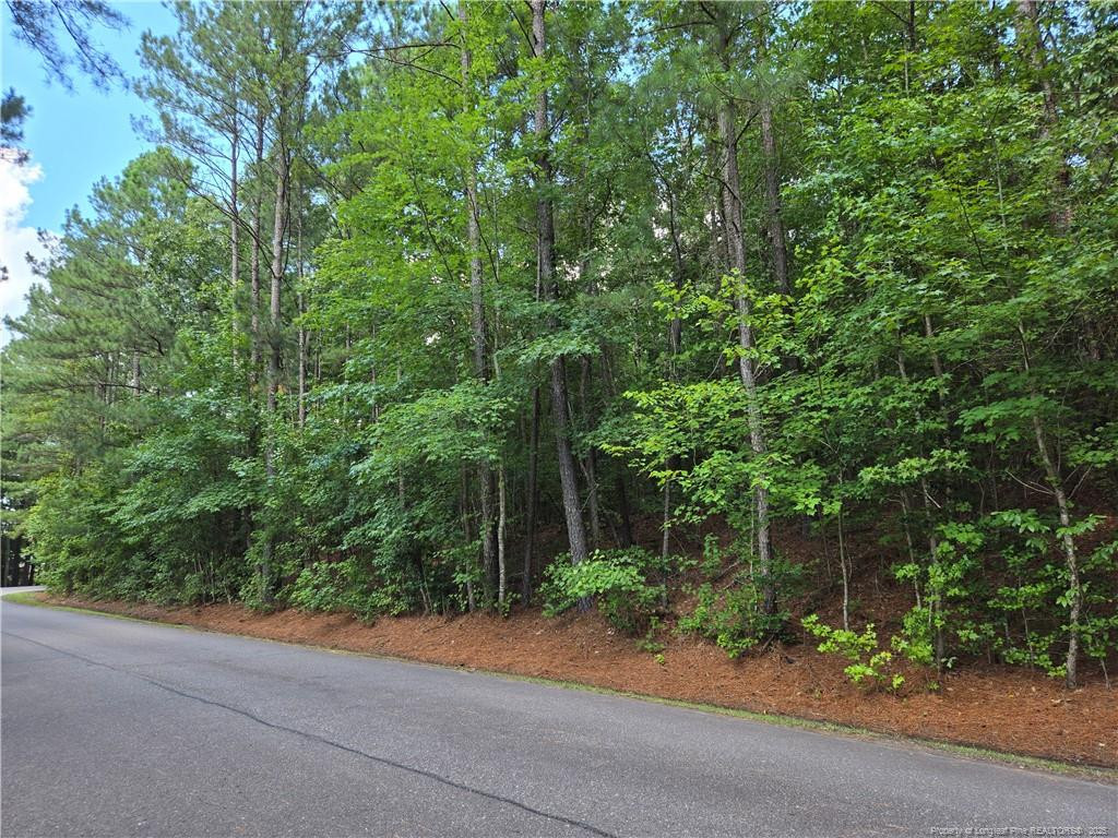893 Loblolly Drive Property Photo 2