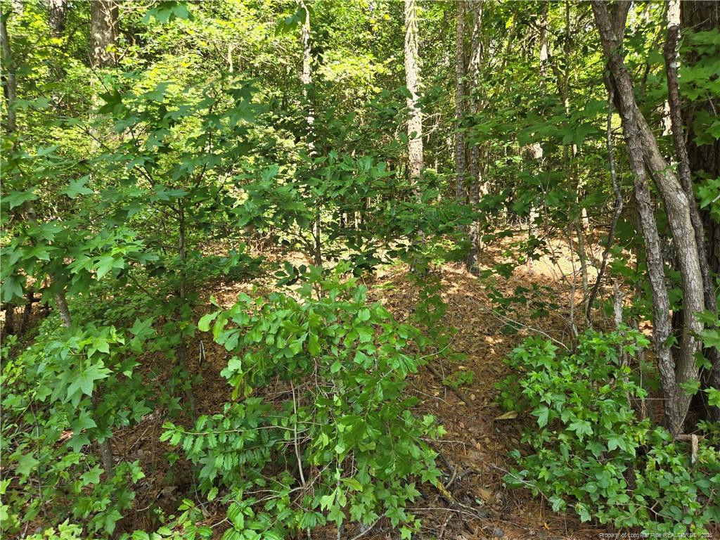 893 Loblolly Drive Property Photo 3