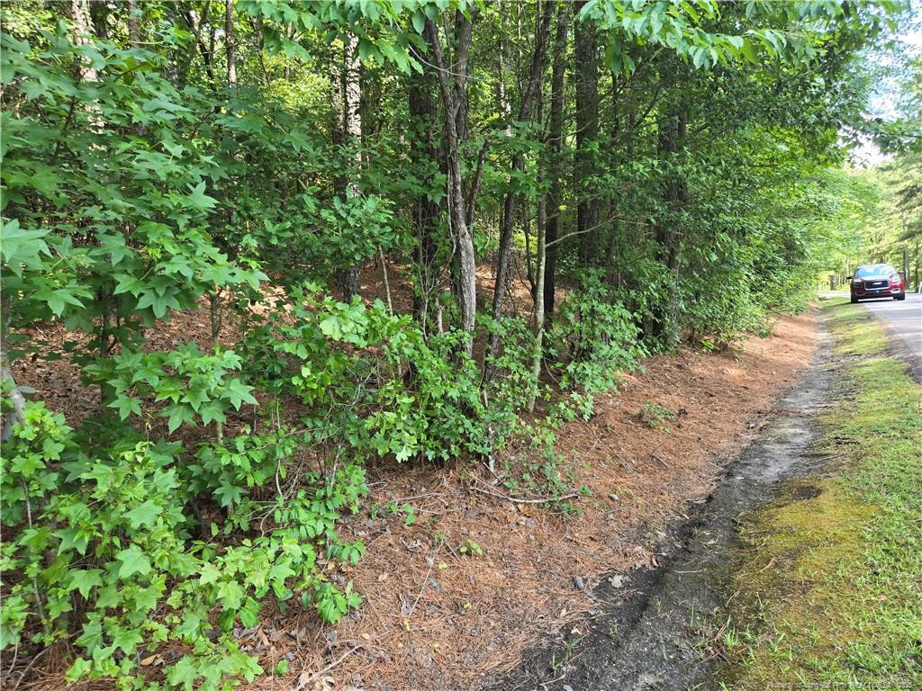 893 Loblolly Drive Property Photo 4