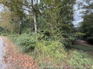 Tbd Galestown Road Property Photo 3