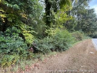 Tbd Galestown Road Property Photo 4