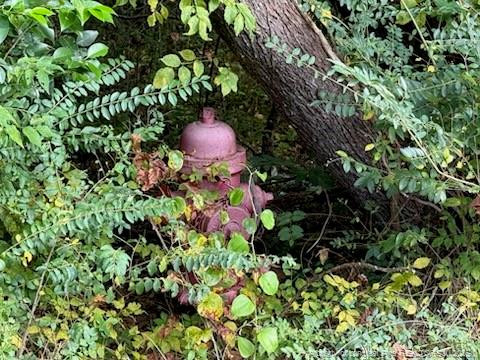 Tbd Galestown Road Property Photo 5