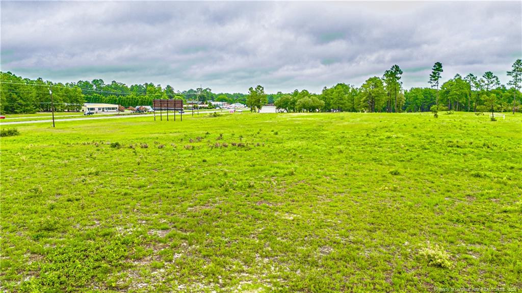 Tbd Us 1 Highway Property Photo 6