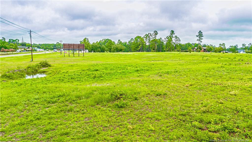 Tbd Us 1 Highway Property Photo 7