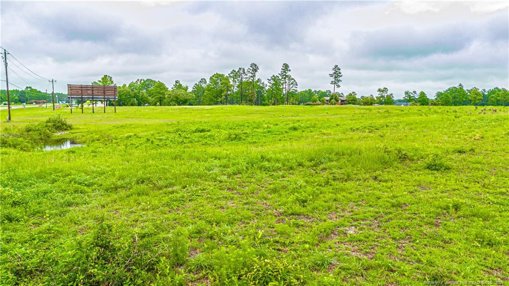 Tbd Us 1 Highway Property Photo 8