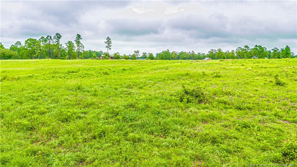 Tbd Us 1 Highway Property Photo 9