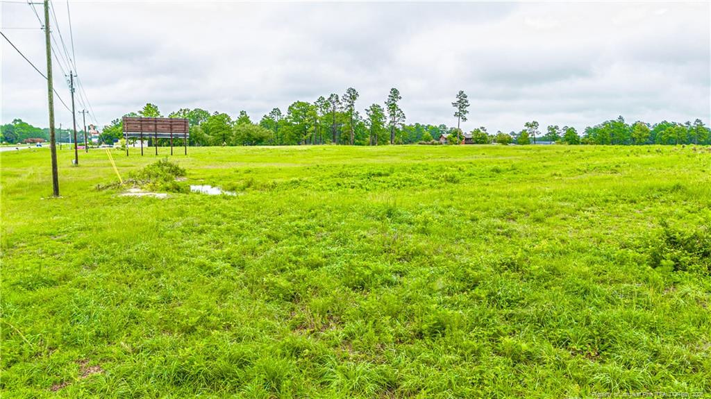 Tbd Us 1 Highway Property Photo 10