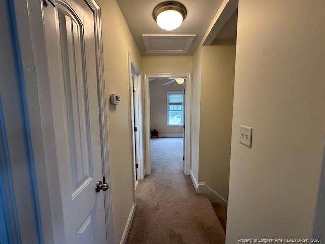 28 Maple Avenue Property Photo 18