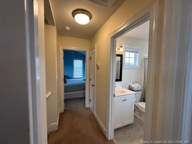 28 Maple Avenue Property Photo 19