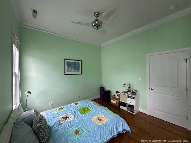 28 Maple Avenue Property Photo 25