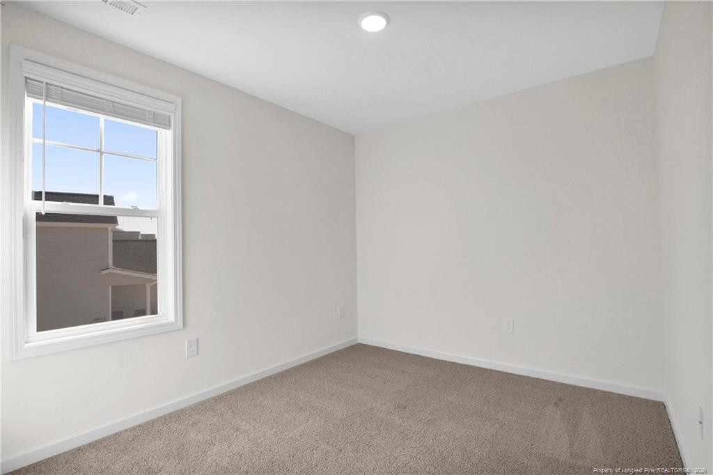 208 Buggy Top Lane Property Photo 28