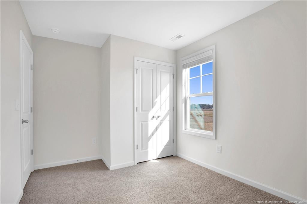 208 Buggy Top Lane Property Photo 29