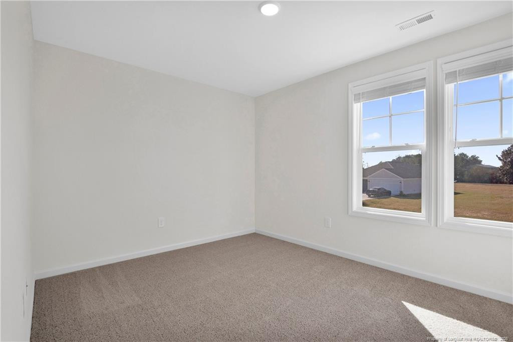 208 Buggy Top Lane Property Photo 30
