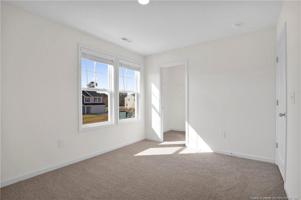208 Buggy Top Lane Property Photo 31
