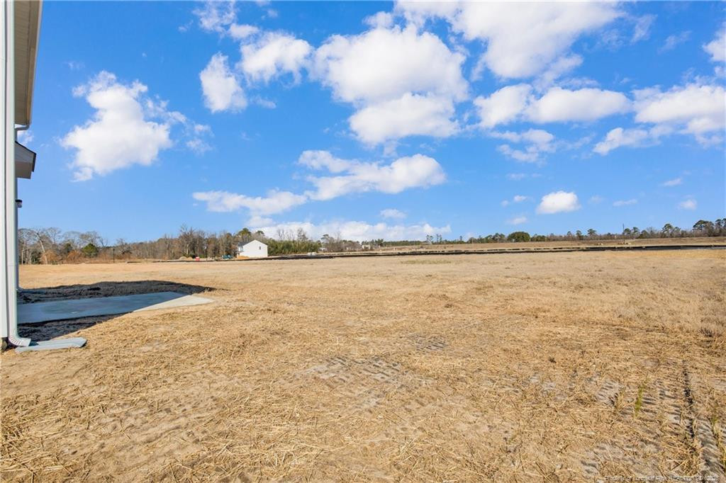 208 Buggy Top Lane Property Photo 34