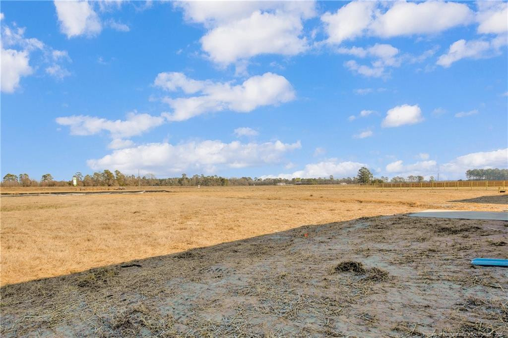 208 Buggy Top Lane Property Photo 38