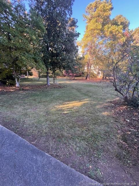 7905 Harps Mill Road Property Photo 6