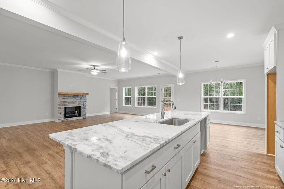 225 Telluride Court Property Photo 10