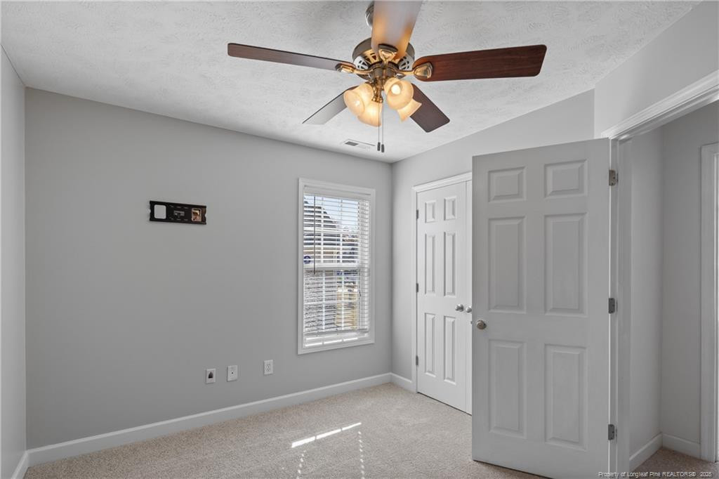 225 Hogart Street Property Photo 33
