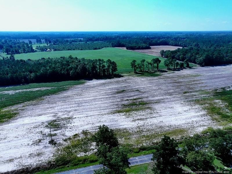 Tbd Cowpen Swamp Road Property Photo 1