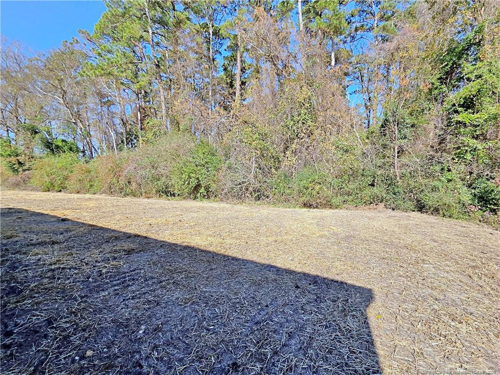 4053 Lodge Drive Property Photo 36