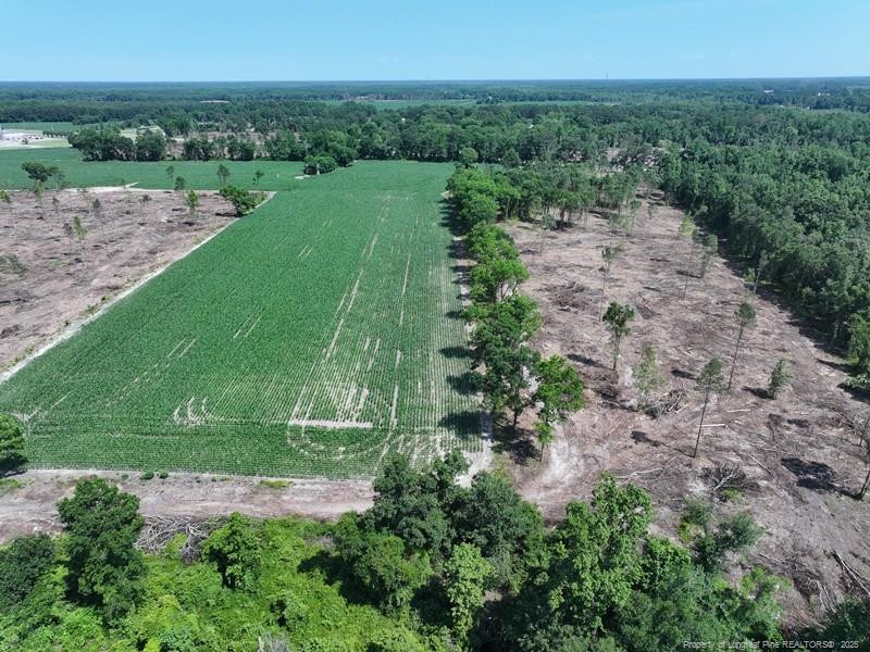 Tbd Nc Hwy 71 Highway Property Photo 1