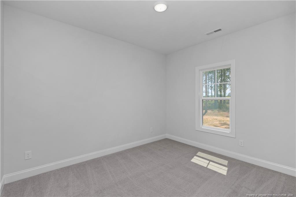 159 N Rabbit Run Drive Property Photo 15