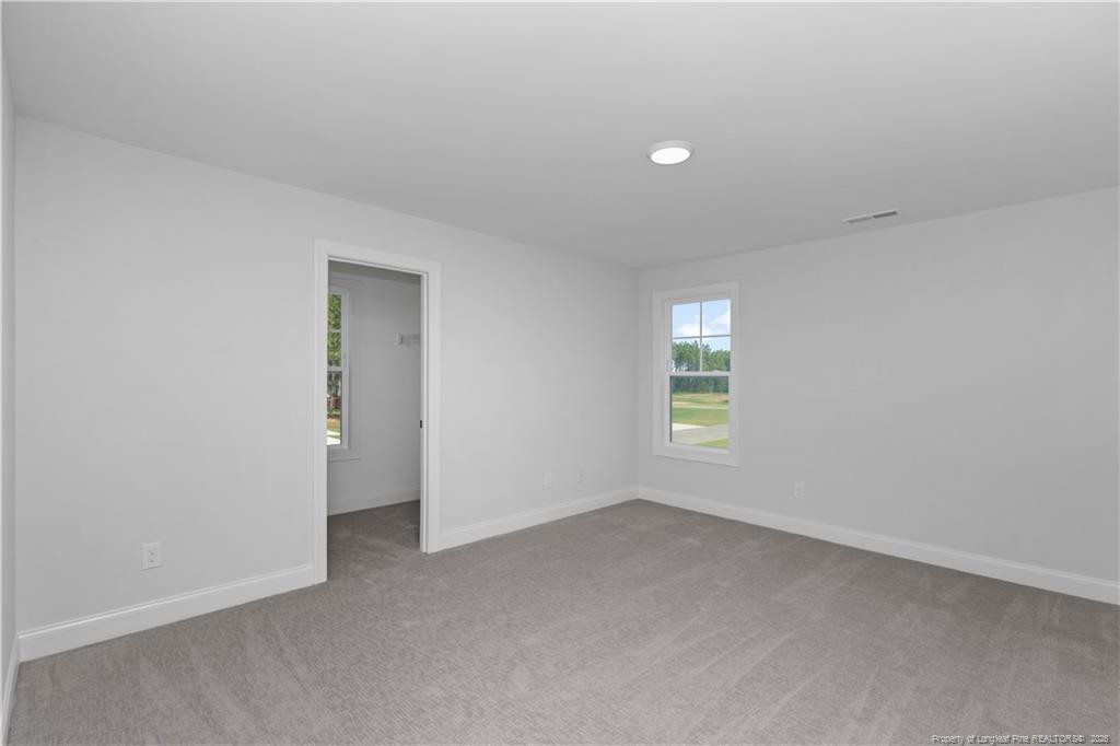 159 N Rabbit Run Drive Property Photo 18