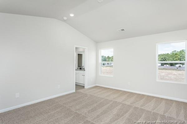 95 Laforce Lane Property Photo 11