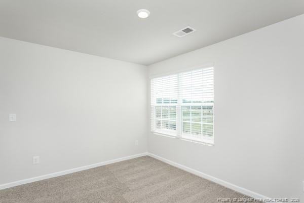95 Laforce Lane Property Photo 14