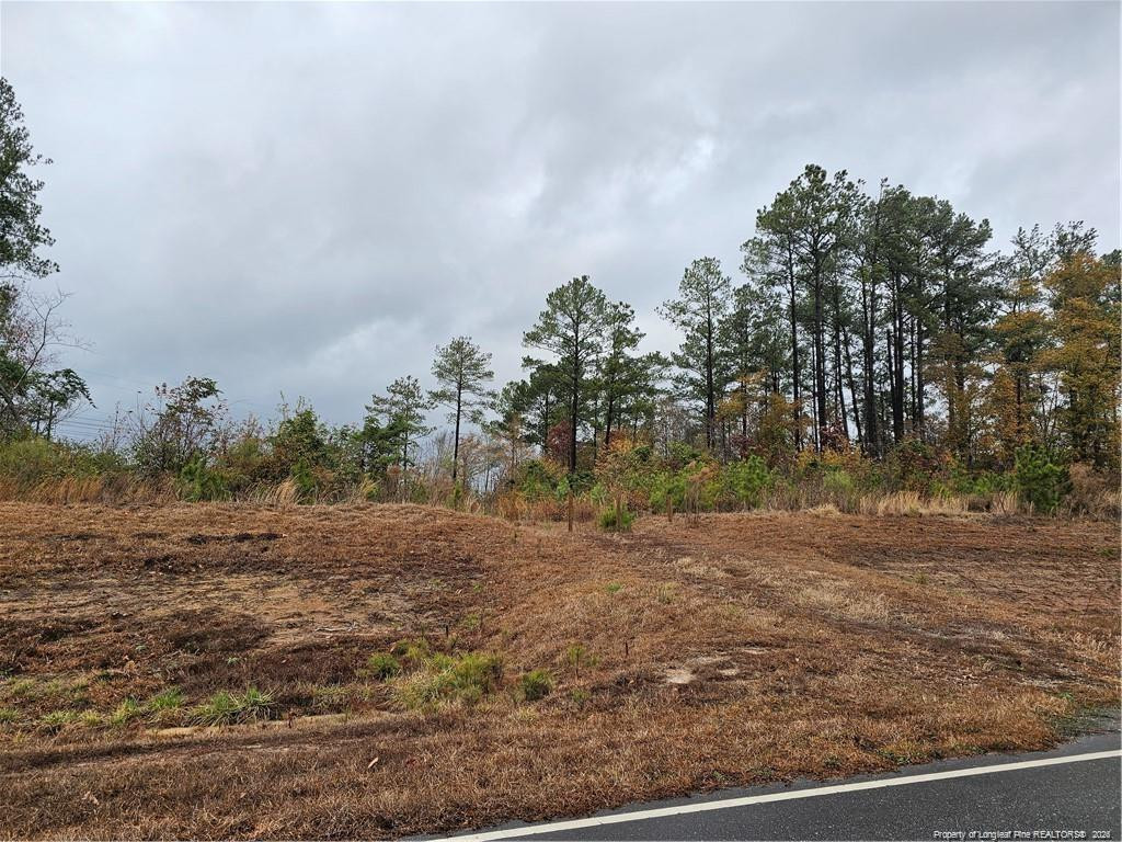 1540 Buster Vee Lane Property Photo 1