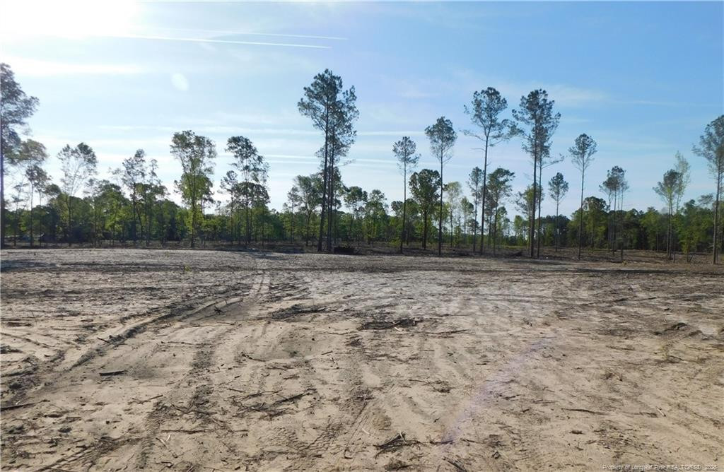 Lot 11 Sand Rock Road Property Photo 1
