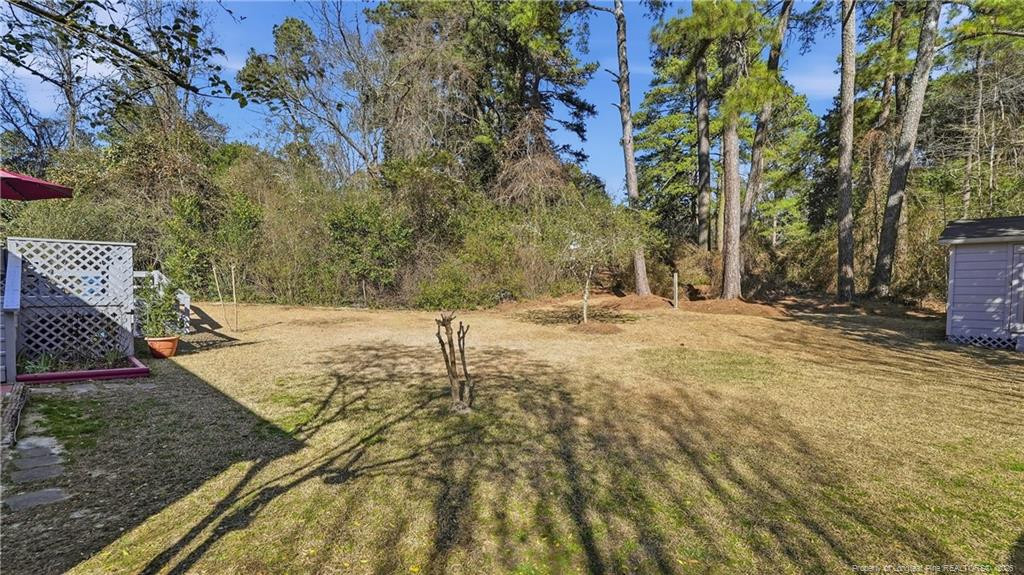 716 Pinecrest Street Property Photo 34