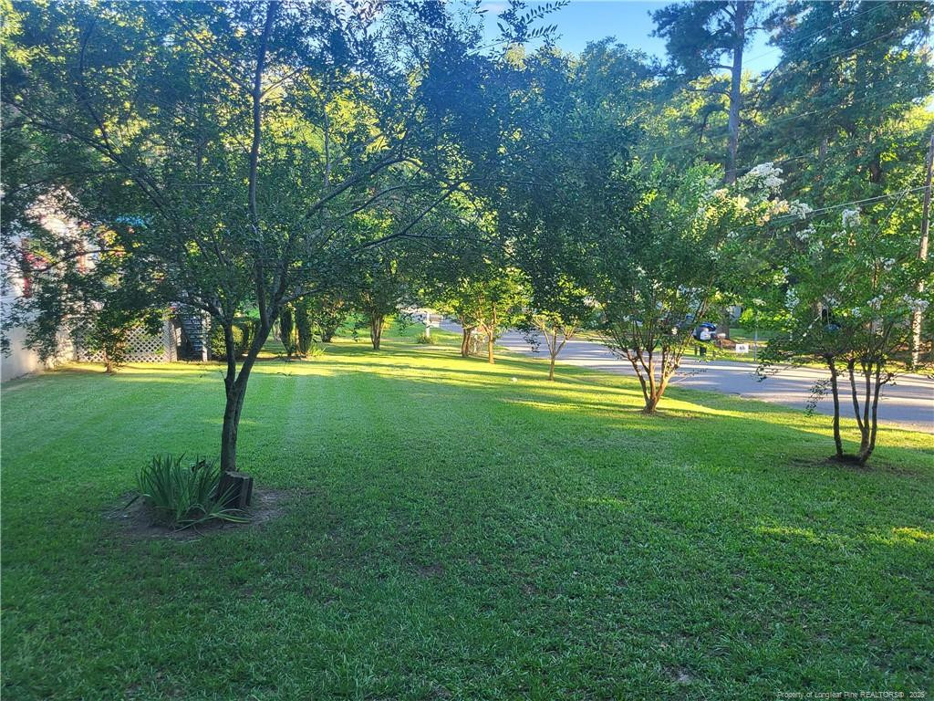 716 Pinecrest Street Property Photo 40