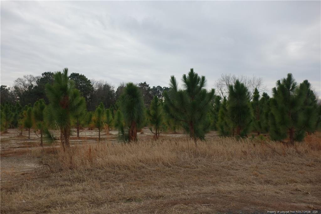 Lot 48 Stuarts Mill Road Property Photo 1