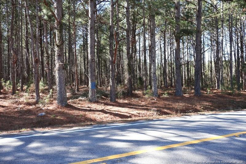 Nc Hwy 130 Highway Property Photo 2