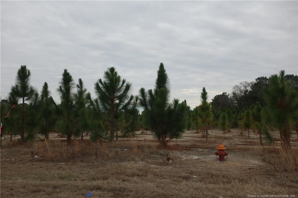 Lot 35 Stuarts Mill Road