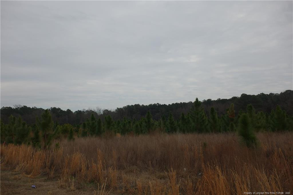 Lot 36 Stuarts Mill Road Property Photo 1