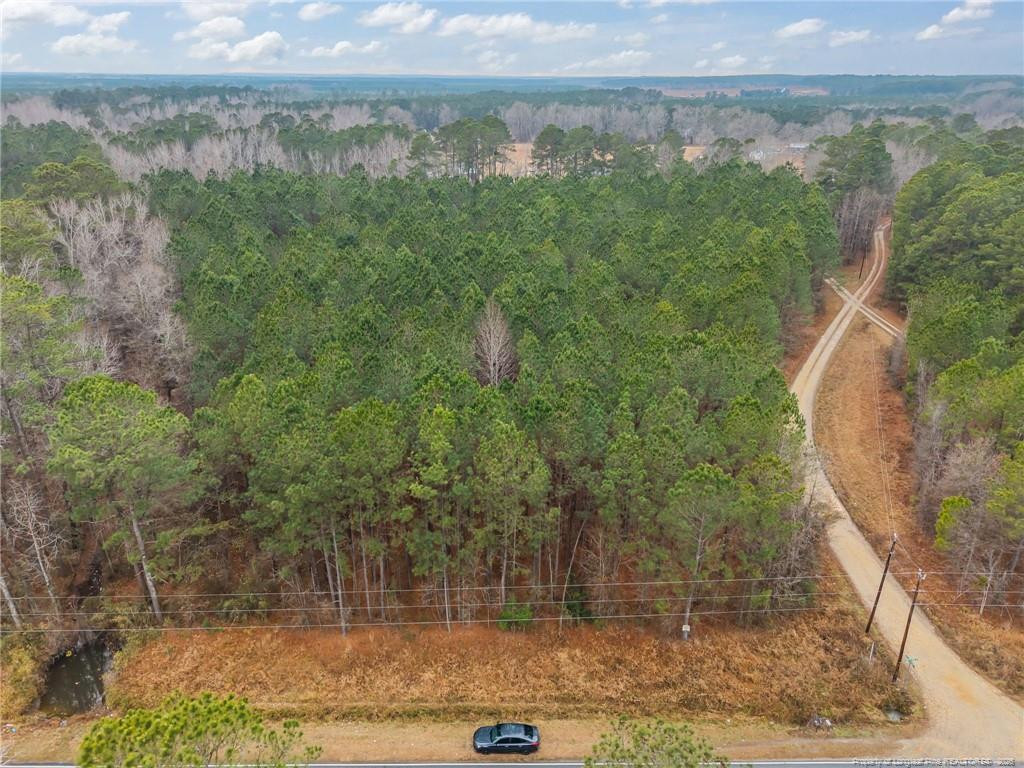Tbd E Reeves Bridge Road Property Photo 14