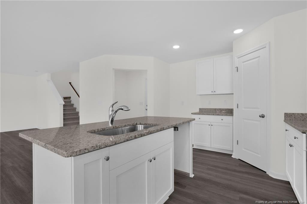 245 Buggy Top Lane Property Photo 16