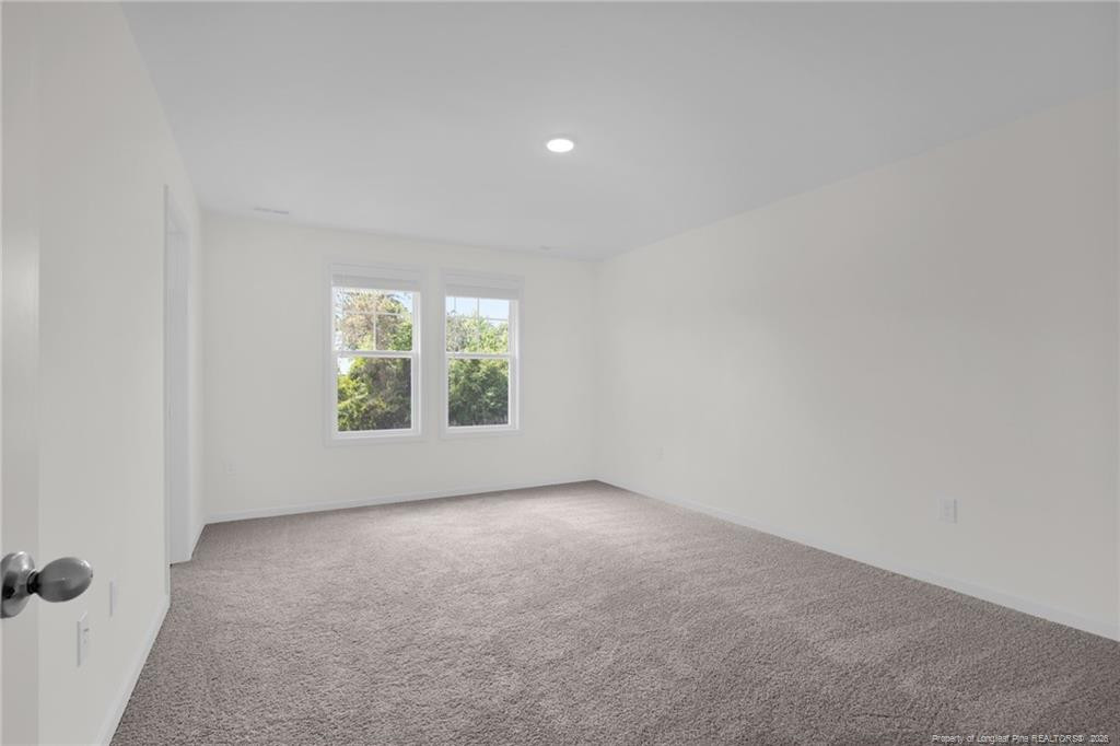245 Buggy Top Lane Property Photo 23