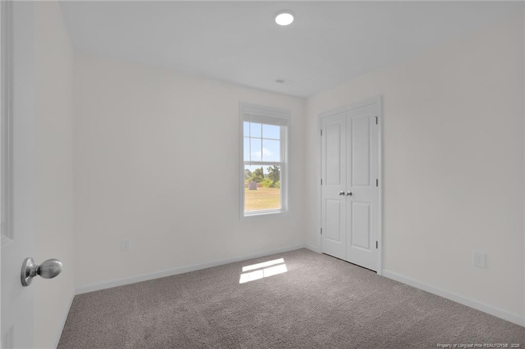245 Buggy Top Lane Property Photo 29