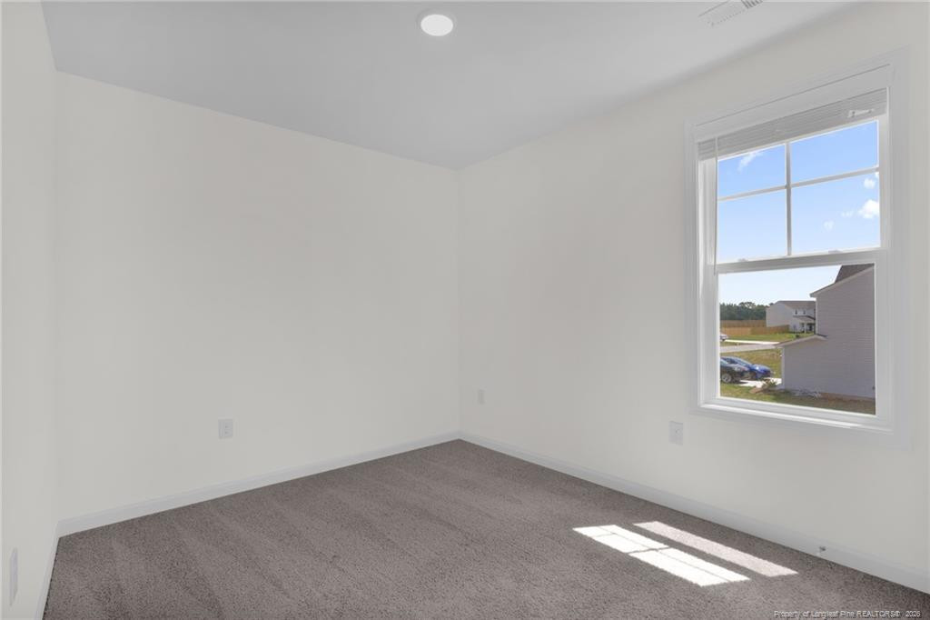 245 Buggy Top Lane Property Photo 31