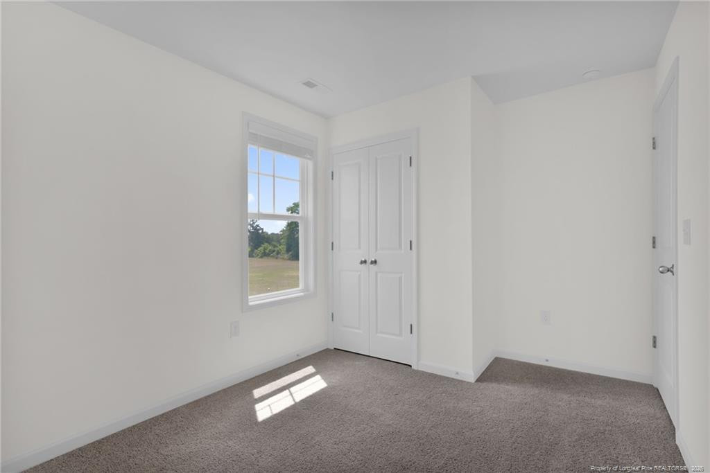 245 Buggy Top Lane Property Photo 32