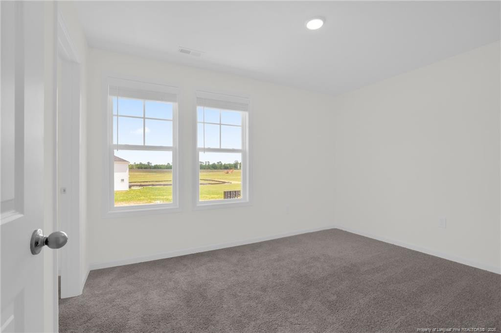 245 Buggy Top Lane Property Photo 33