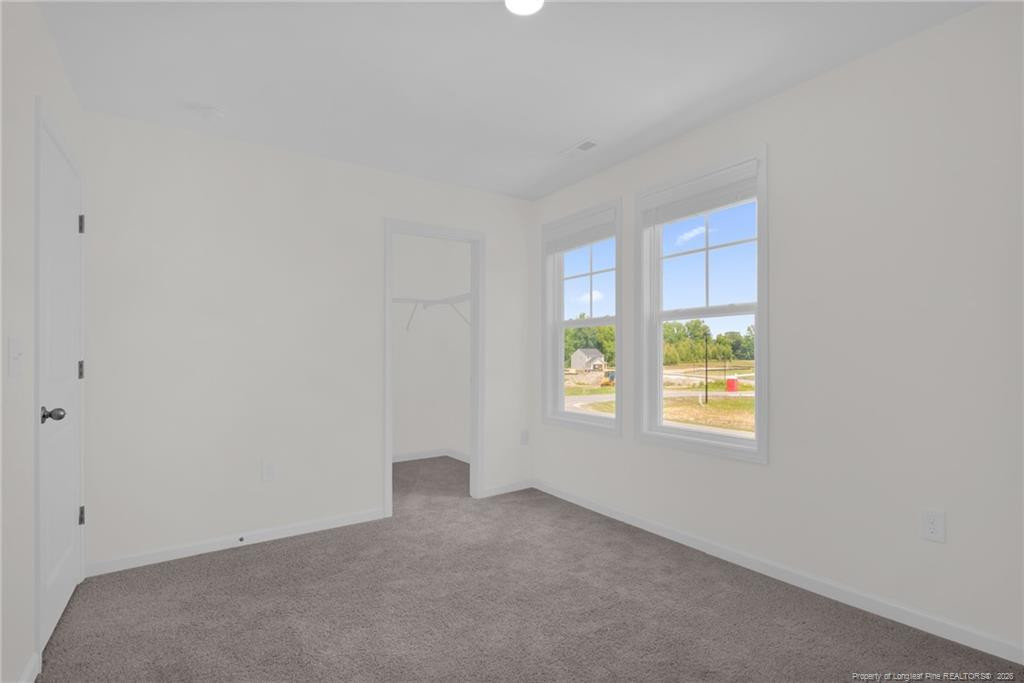 245 Buggy Top Lane Property Photo 34