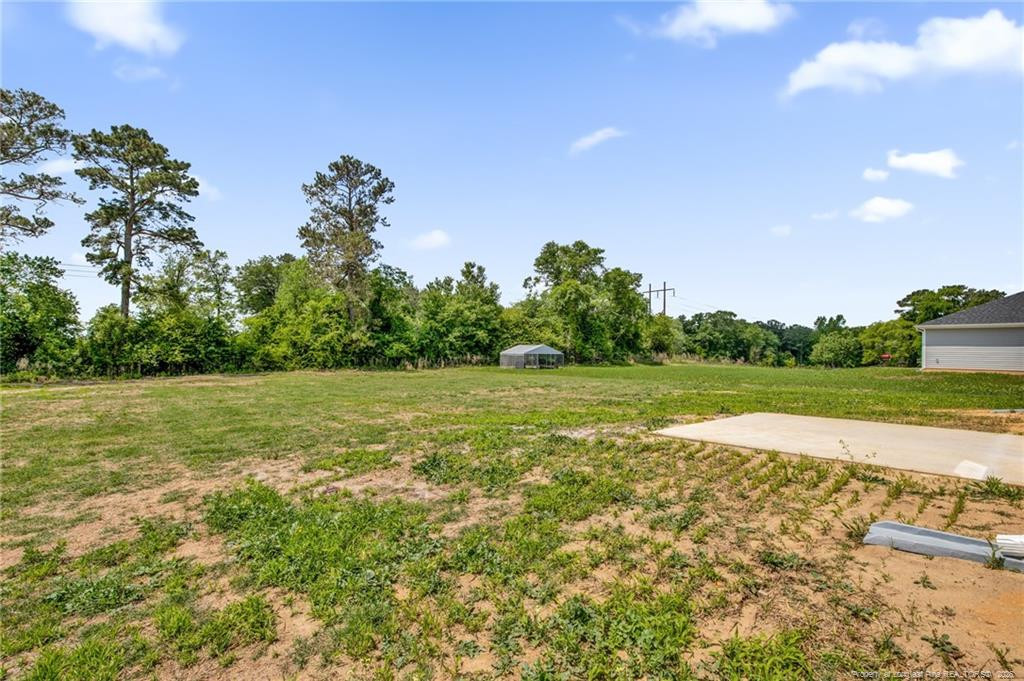 245 Buggy Top Lane Property Photo 36