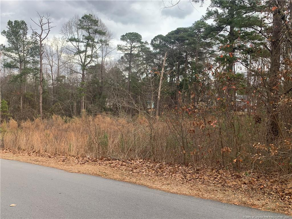 0 Brookridge Drive Property Photo 2